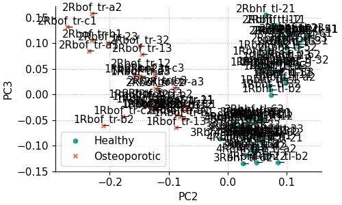 Annotated scores scatter plot of PC2-PC3